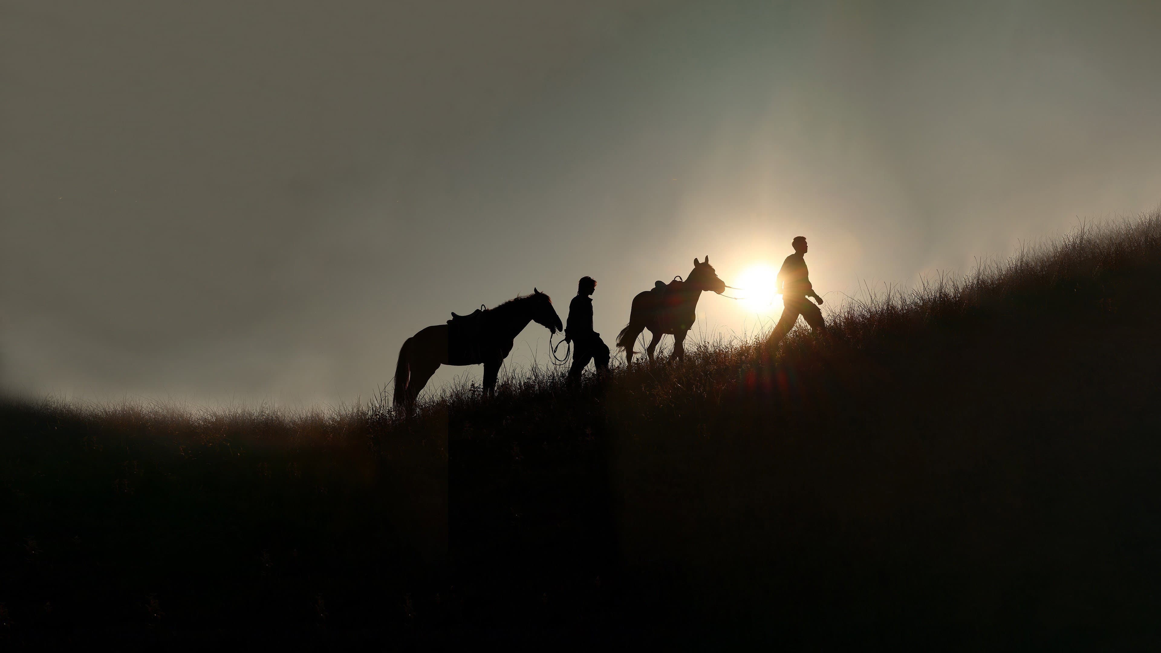 A Winter Sun Wakes the Wind in Spring Hills' Dream