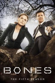 Season 5