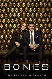 Season 11